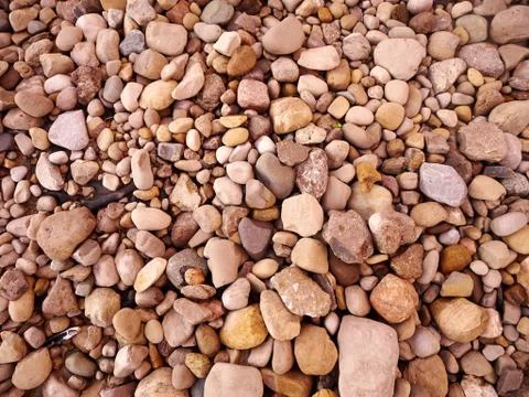 Close Up of Rocks on the ground 库存照片