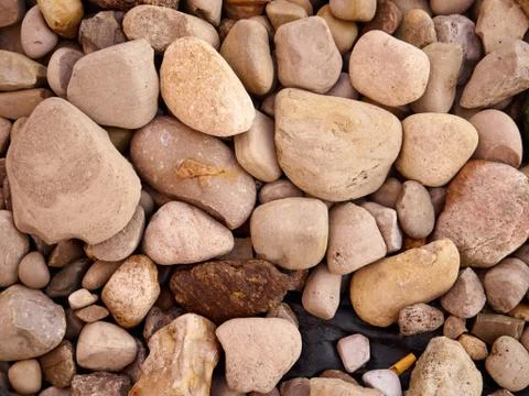 Close Up of Rocks on the ground Foto stock