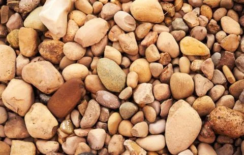Close Up of Rocks on the ground 库存照片