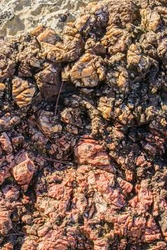 Close up on rocks Stock Photos