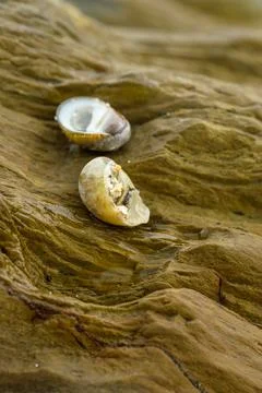 Close up on rocks Stock Photos