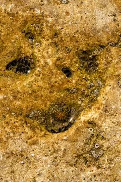 Close up on rocks Stock Photos