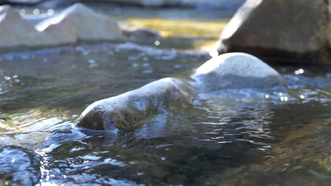 Close up rocks in river Video stock 100039526