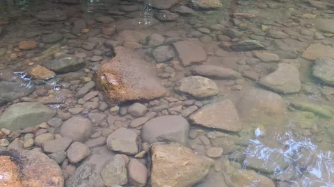 Close-up of rocks in the river Stock Footage 307572811