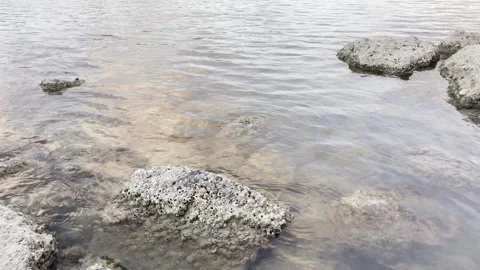 Close up of rocks in a rockpool at sunset 스톡 동영상 275334047