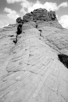 Close up on the rocks with a small tree - snow canyon utah Stock Photos