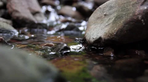 Close Up of Rocks in a Stream Stock Footage 40401271