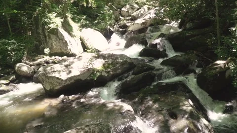 Close Up of Rocks in Stream Stock Footage 137865033