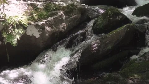 Close Up of Rocks in a Stream Stock Footage 137865174