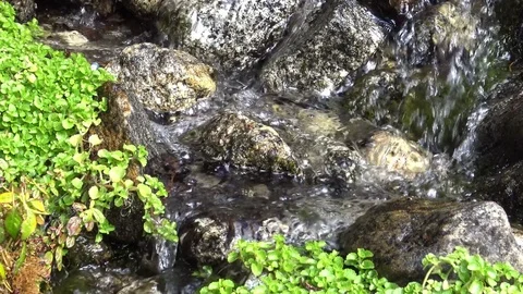 Close-up of a rocky forest stream Stock Footage 74492637
