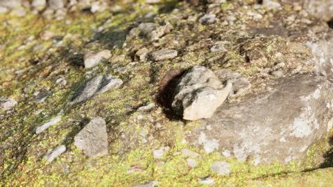 Close up of rocky stones formation Stock Illustration