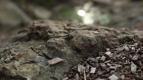 Close-up of a rocky stream bed in a natural garden 動画素材 336308838
