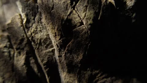 Close-Up of Rocky Surface with Cracks Stock Footage 286242131