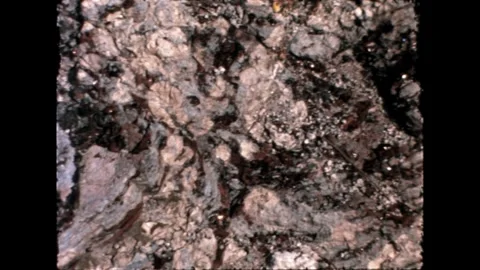 Close-up of Rocky Surface Stock Footage 278040040