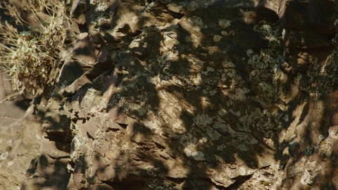 Close-up of rocky surface with moss, lichen, and natural shadows. Textured Vídeos de archivo 297470162