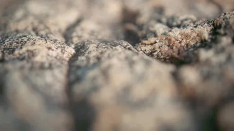 Close-Up of Rocky Surface with Tropical Forest in Background Stock Footage 281149262