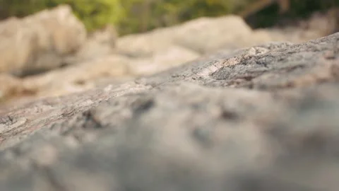 Close-Up of Rocky Surface with Tropical Forest in Background Stock Footage 281149263