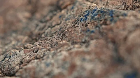 Close-Up of Rocky Surface with Tropical Forest in Background Stock Footage 281149564