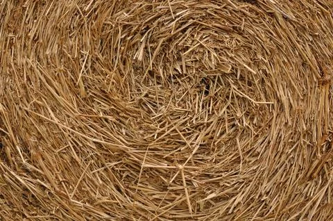 Close up roll of haystack, swirl pattern. Stock Photos