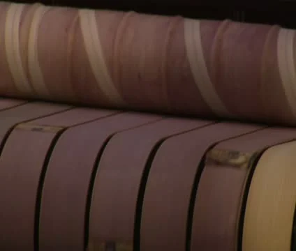 Close-up on rollers on industrial ironing machine Video stock 21593820