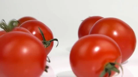 Close-up of rolling tomatoes Video stock 83054739