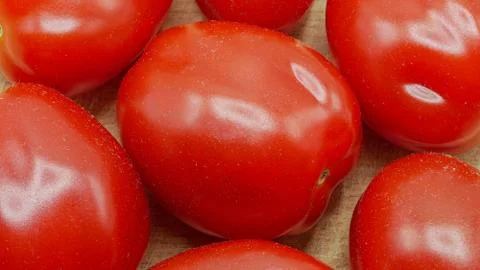 Close-up of Roma Tomatoes Also Called Italian Tomatoes 写真素材