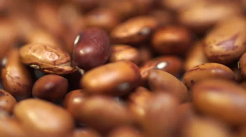 Close up of Romano Beans Stock Footage 33622235