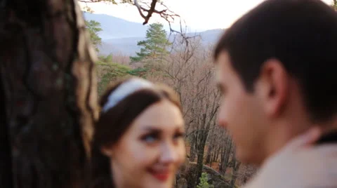 Close-up of of romantic newlywed couple lean back on tree in sunny day Stock Footage 66304157