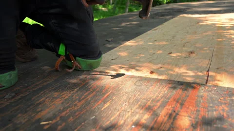 Close up of a roofing contractor worker hammering nails into plywood roof Stock Footage 341785586