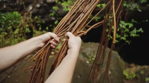 Close Up Rope Swing Stock Footage 75255309