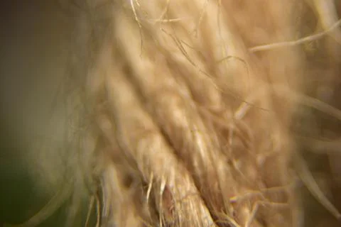 Close up of rope texture background Stock Photos