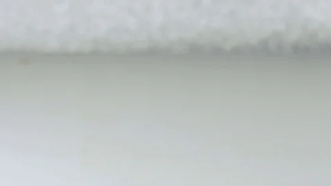 Close up of roses bunch falling down. Stock Footage 70545773