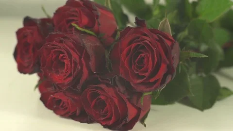 Close up of roses bunch. Stock Footage 70549318