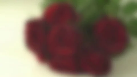 Close up of roses bunch. Stock Footage 70556084