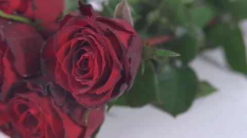 Close up of roses bunch. 스톡 동영상 71106058