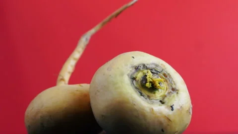 close-up rotates turnip on red backgroun... | Stock Video | Pond5