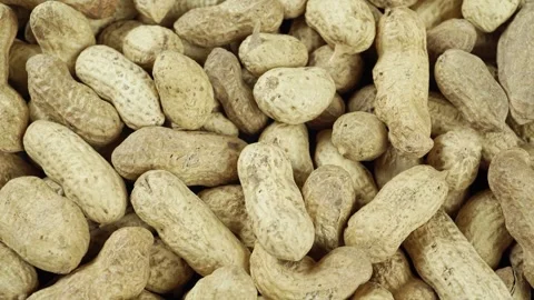 Close-up Of A Rotating Common Peanut In The Shell. Stock Footage 242839623