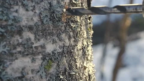 Close-up of a rotating drill. Stock Footage 196616525