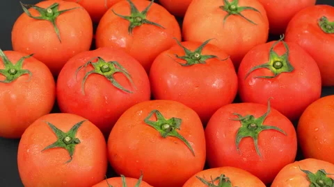Close Up Rotating Fresh Ripe Red Tomatoes on Turntable Stock Footage 342774026