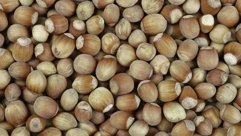 Close-up Of Rotating Hazelnut IN Shell From Above. Stock-Footage 250229674