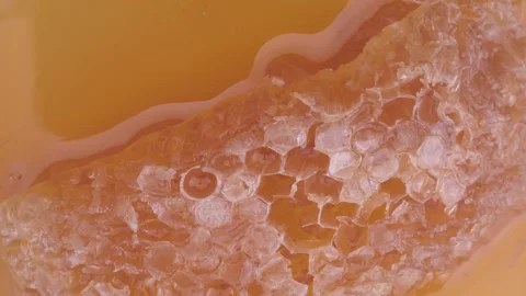 Close-up of rotating honeycomb. macro shot Stock Footage 231737682