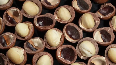 Close-up Rotating Pattern of Cracked Macadamia Nut Kernels. Video stock 332830963