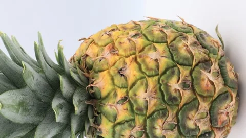 Close-up of a rotating Philippine pineapple Stock Footage 336651161