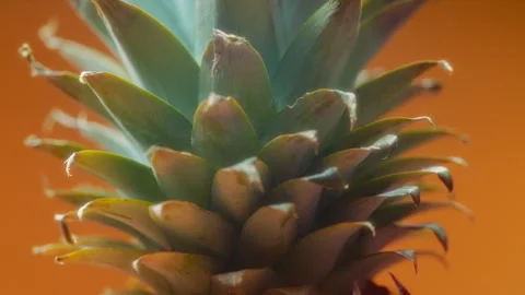 Close up of rotating pineapple leaves on orange background 스톡 동영상 293625182