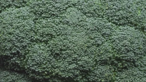 Close up of rotating raw broccoli UNGRADED Stock Footage 119403462