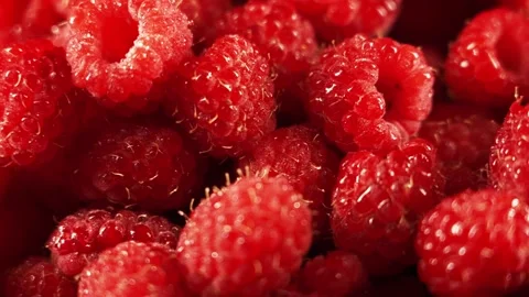 Close up of rotating ripe red raspberry isolated on black background, making Stock Footage 244377236