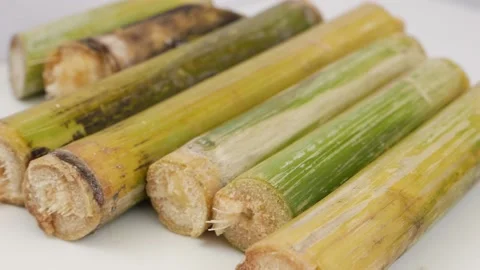 Close rotating shot of raw sugarcane sticks isolated over white background Stock Footage 148219320