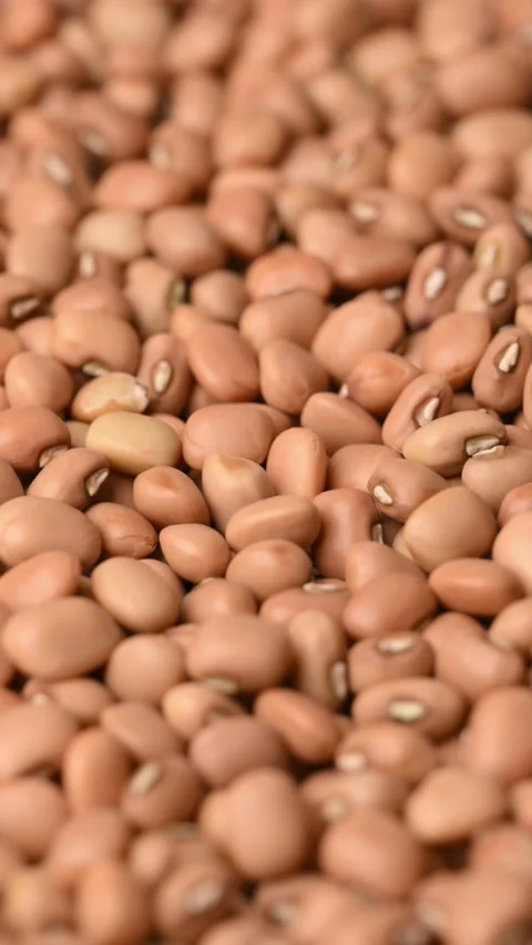 Close Up Rotating Texture of Organic Dried Brown Red Beans Full Frame Stock Footage 348571189