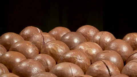 Close-up Rotating Whole Macadamia Nuts with Top Copy Space. Video stock 332834800