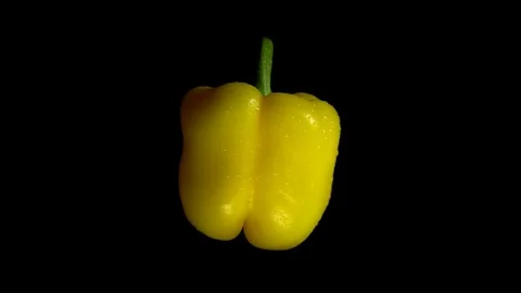 Close-up rotation fresh yellow pepper on black background. Stock Footage 82963576